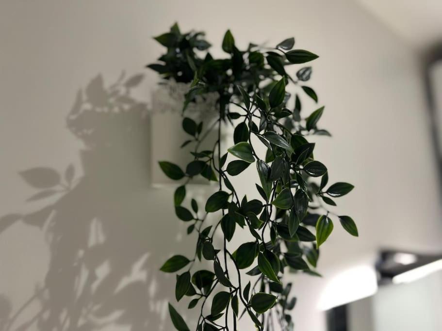 Maison La Feuilleraie N3-Standingmaison-Wifi-Proche Centre Ville-Property Rental Nm فونتيناي لو كومت المظهر الخارجي الصورة